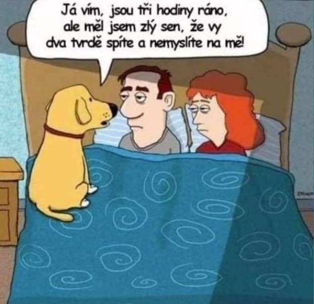 399307479_6677100999025694_7815052259483504836_n